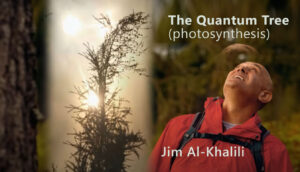 The quantum tree: photosynthesis - Jim al-Khaili (EN►EN/ES/IT/NL)