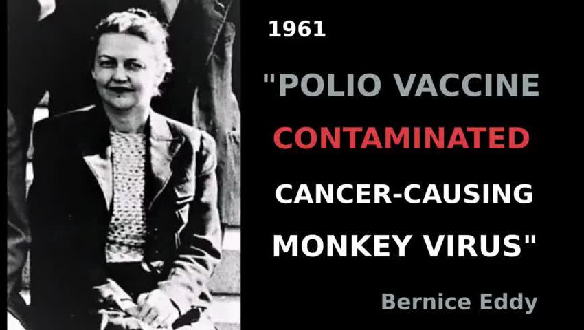 Lee más sobre el artículo La fe ciega en las vacunas basada en el doble mito de la polio: la ‘pandemia’ y su ‘vacuna’,