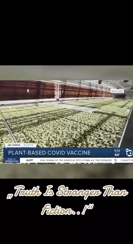 Lees meer over het artikel Plant-based Covid ‘vaccin’?