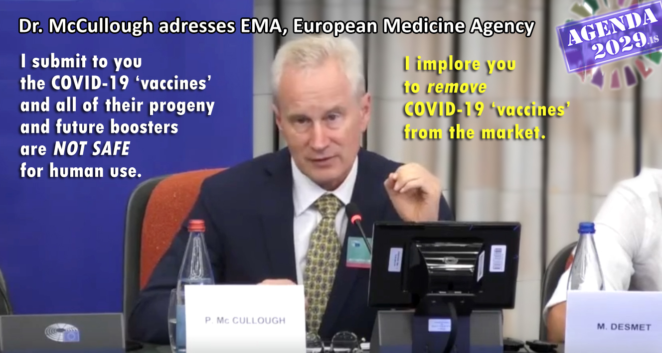 Read more about the article Stop ALL (Covid)mRNA injections NOW! Dr. McCullough at European Parliament. (13/09/2023 EN►ES/IT/NL)