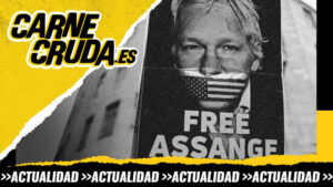 Assange: por qué quieren destruirle (CARNE CRUDA) (ES)