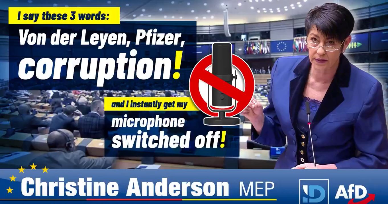 Read more about the article EU MP Christine Anderson mentions “Corruption” and gets censored.