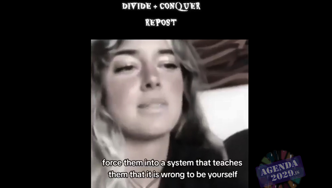 Read more about the article OLD World Order’s (OWO) foul tricks to divide the masses and conquer the world.