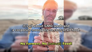 Corporate obsession to monopolize food through control of GMO seeds